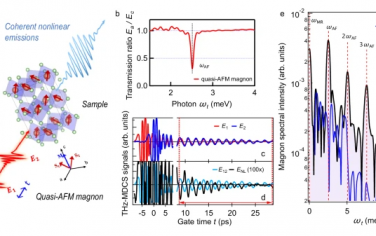 Nature Communications：共振磁脉冲对引起的太赫兹磁振子的极端倍增