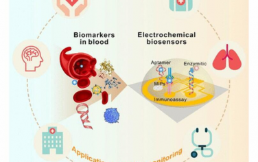 Chem. Rev.: 用于全血分析的电化学生物传感器的最新进展、挑战和未来展望