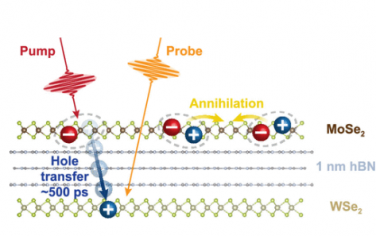 Nano Letters：MoSe2/hBN/WSe2异质结的电荷转移动力学