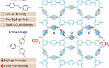 武汉大学Angew：分子设计增强COF电催化还原CO2