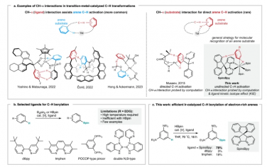 Nature Communications：与螺联吡啶配体的非共价相互作用使铱催化的C–H活化成为可能