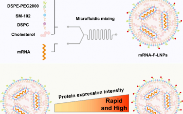 ACS Nano：氟化的脂质纳米颗粒可提高mRNA递送效率