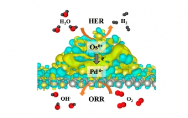 ACS Nano：限制在钯金属上的亚纳米锇簇用于增强析氢和氧还原催化