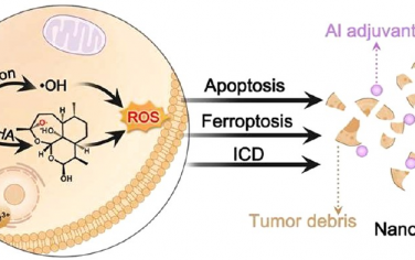 ACS Nano：基于FeAl层状双氢氧化物框架的癌症纳米疫苗用于实现活性氧增强的金属免疫治疗