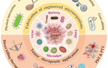 Adv. Mater综述：工程化微生物用于增强肿瘤治疗