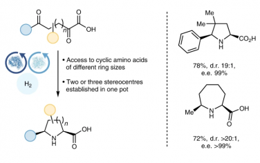 Nature Synthesis：酶催化-化学催化串联合成氨基酸