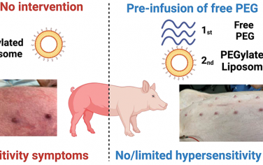 ACS Nano：游离PEG可抑制猪对聚乙二醇化纳米药物的过敏反应