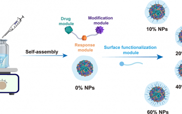 Nano Lett：探究表面功能化模块对米托蒽醌前药纳米组装体性能的影响