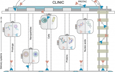 Chem. Soc. Rev：蛋白质水解靶向嵌合体(PROTAC)递送系统