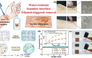 AFM：用于可穿戴生物电子的皮肤可绘画防水生物水凝胶